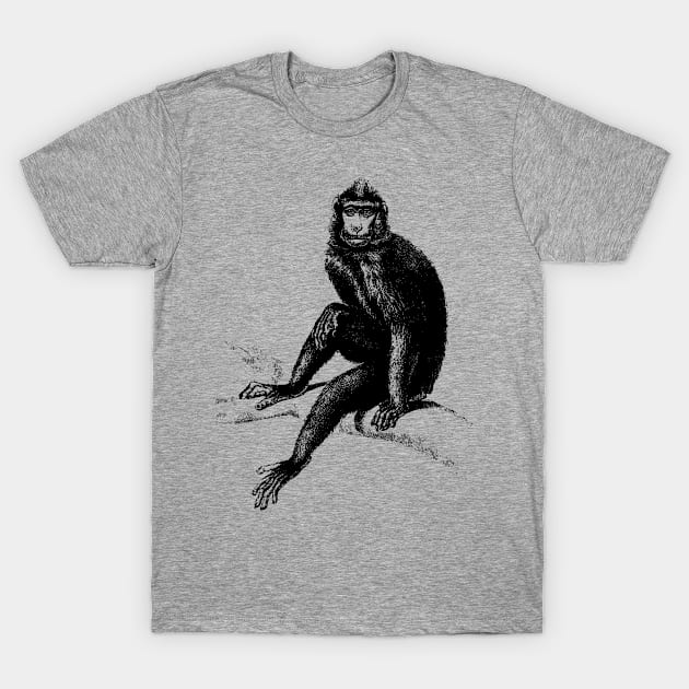 Monkey T-Shirt by Dascalescu